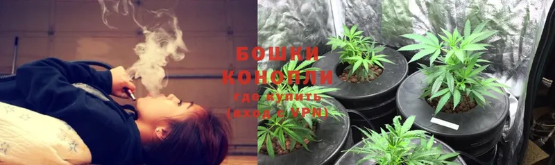 Бошки марихуана Ganja  kraken tor  Бокситогорск 